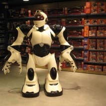 Stabilirea numărului de jucării pe care o fabrică le poate produce lunar